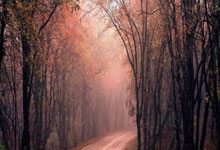 艾菲尔丁:从中甲新秀到海港新援,足球之路的砥砺前行.