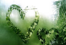 奇异果体育：[图]德国足协杯-诺伊尔直红 勒沃库森1-0淘汰拜仁.