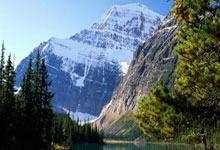 皇马官宣与罗德里戈完成续约,新约至2028年央视网体育.