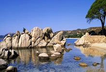 奇异果体育:WTT法兰克福冠军赛:王艺迪4:0王曼昱夺冠人民日报微博.